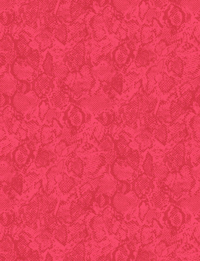 Raspberry Wallpapers on WallpaperDog