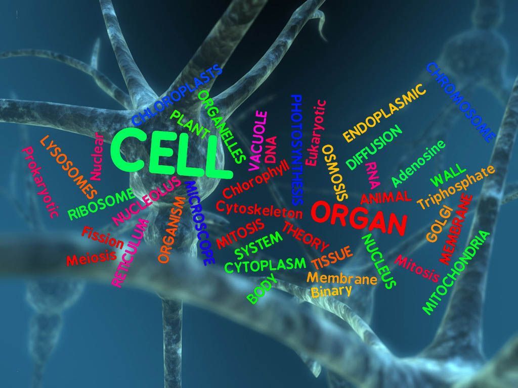 Biochemistry