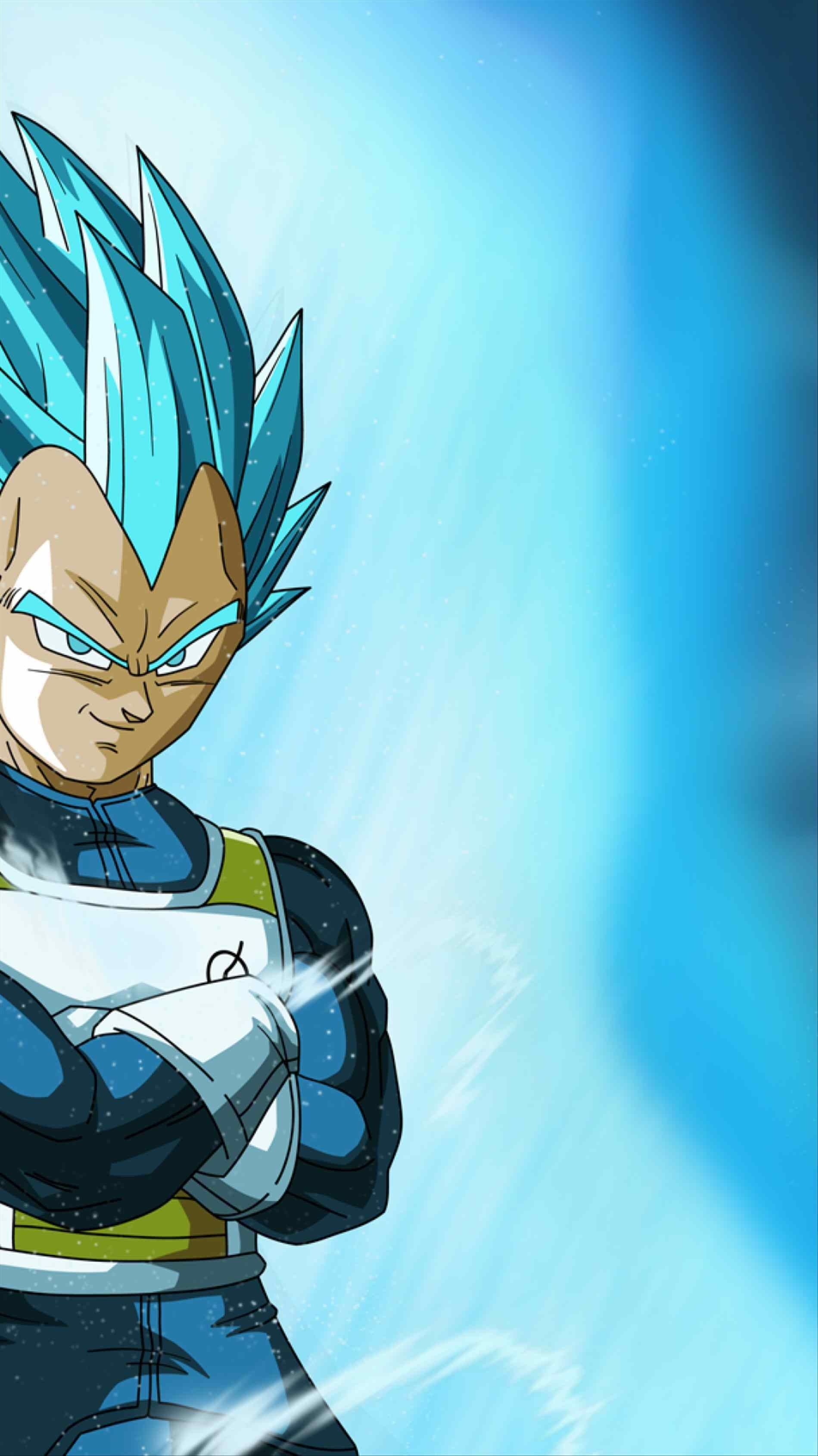 Free download Wallpaper 4k Dragon Ball Z Ozaru Vegeta Blue Wallpaper  [3840x2160] for your Desktop, Mobile & Tablet | Explore 32+ Ssgss Vegeta  Wallpapers | Vegeta Wallpaper, Vegeta Wallpapers, Vegeta Backgrounds