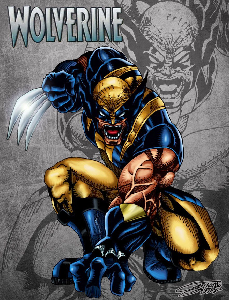 Wolverine Wallpapers On Wallpaperdog