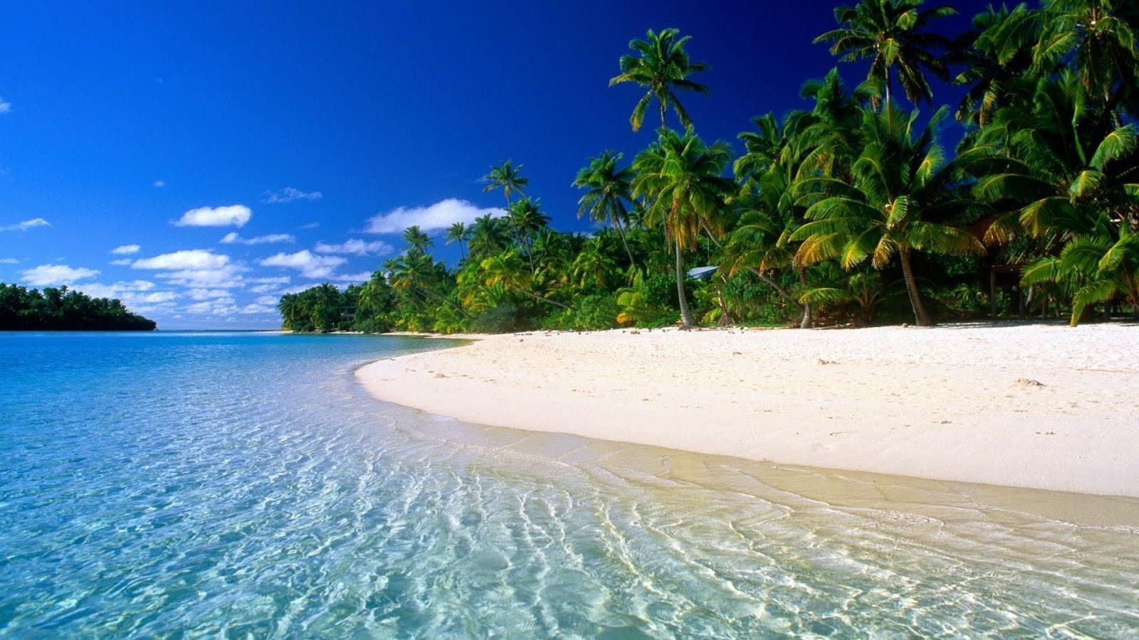 Những hình nền biển Caribbean sẽ đưa bạn đến một thế giới đầy màu sắc, với biển lớn, bãi cát trắng và cây cọ xanh quanh năm. Hãy cùng chiêm ngưỡng những đường cong của bờ biển và ngắm những ngôi nhà đầy màu sắc trên nền trời xanh.