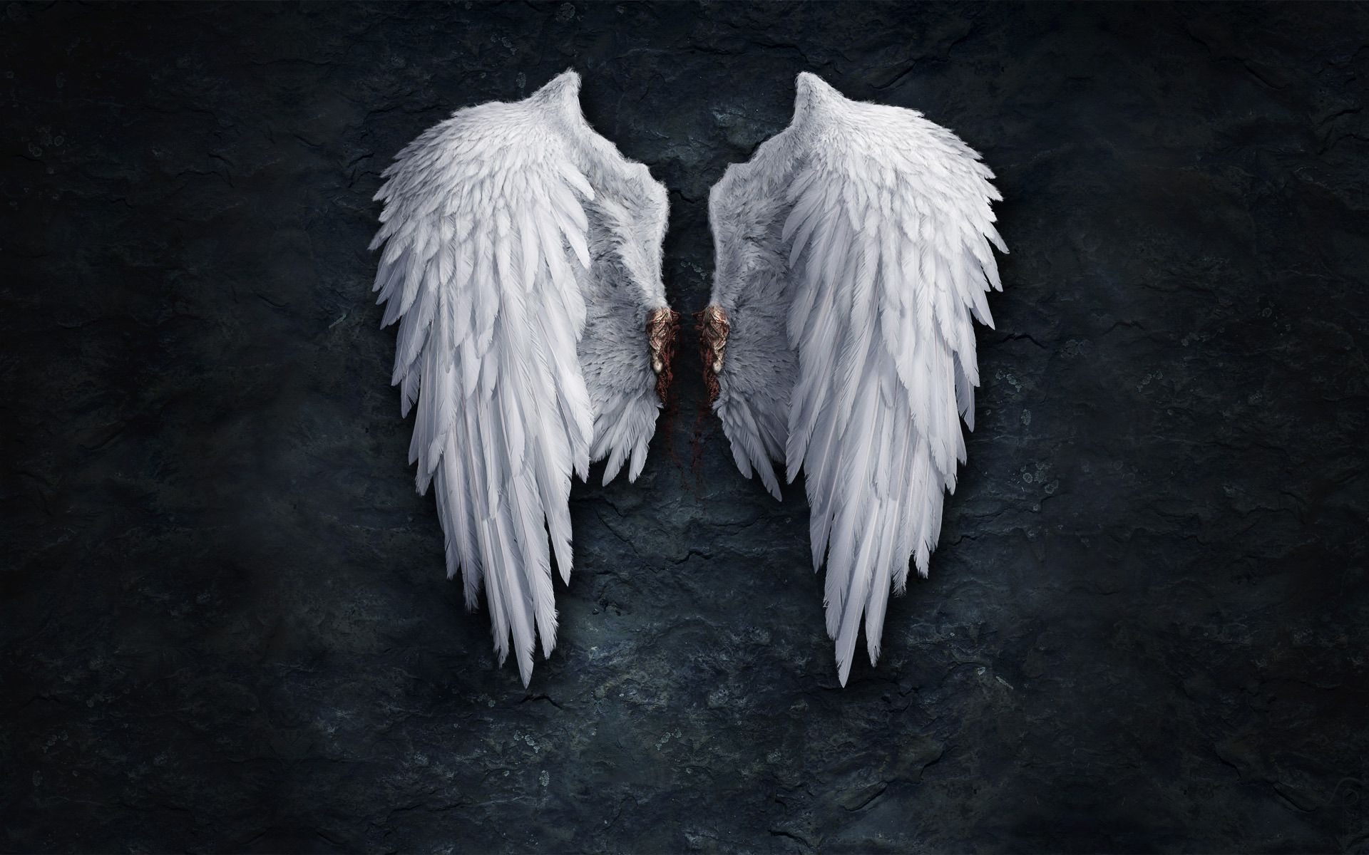 Wallpaper Angel Wings (81+ images)