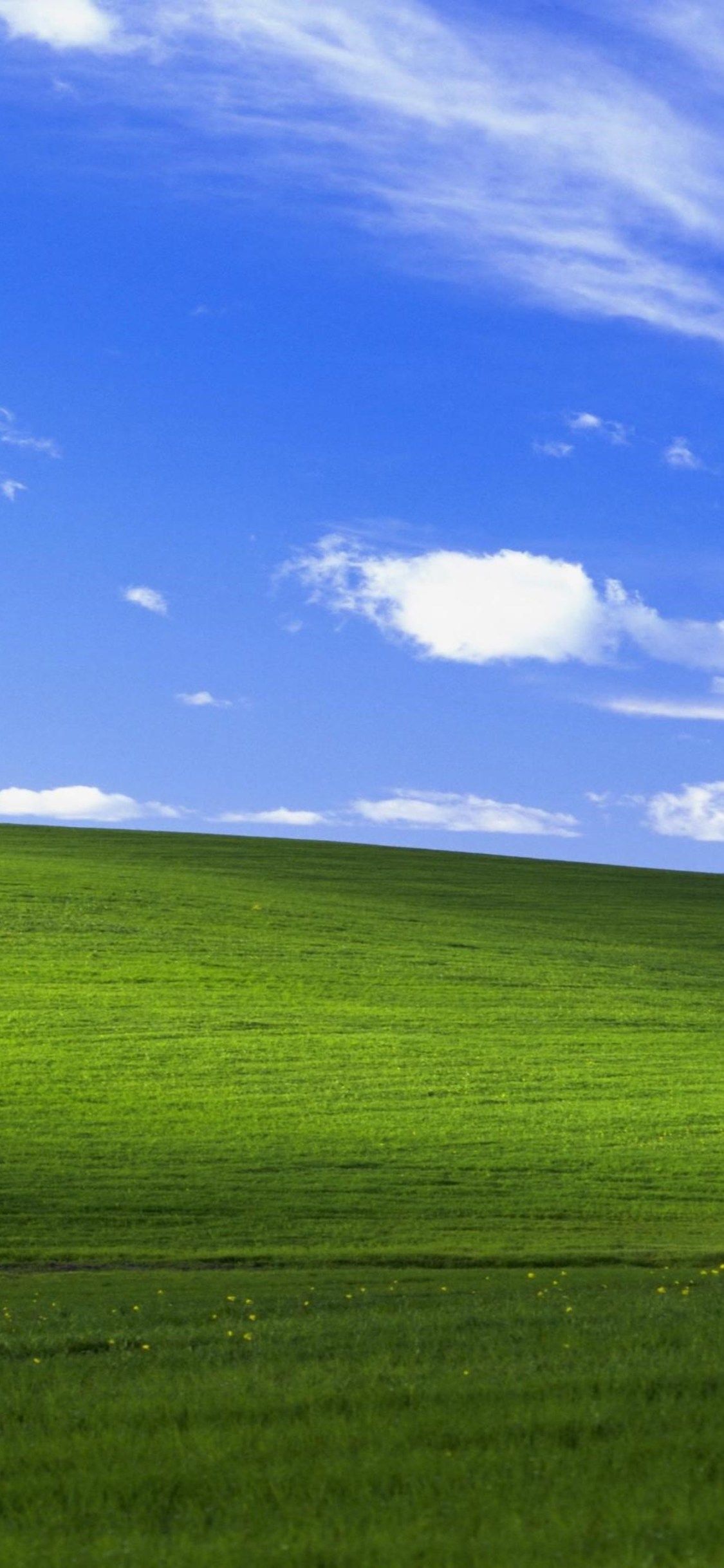 Windows Iconic Wallpaper Created in 90s Bliss Gets a Sequel   Indiacom