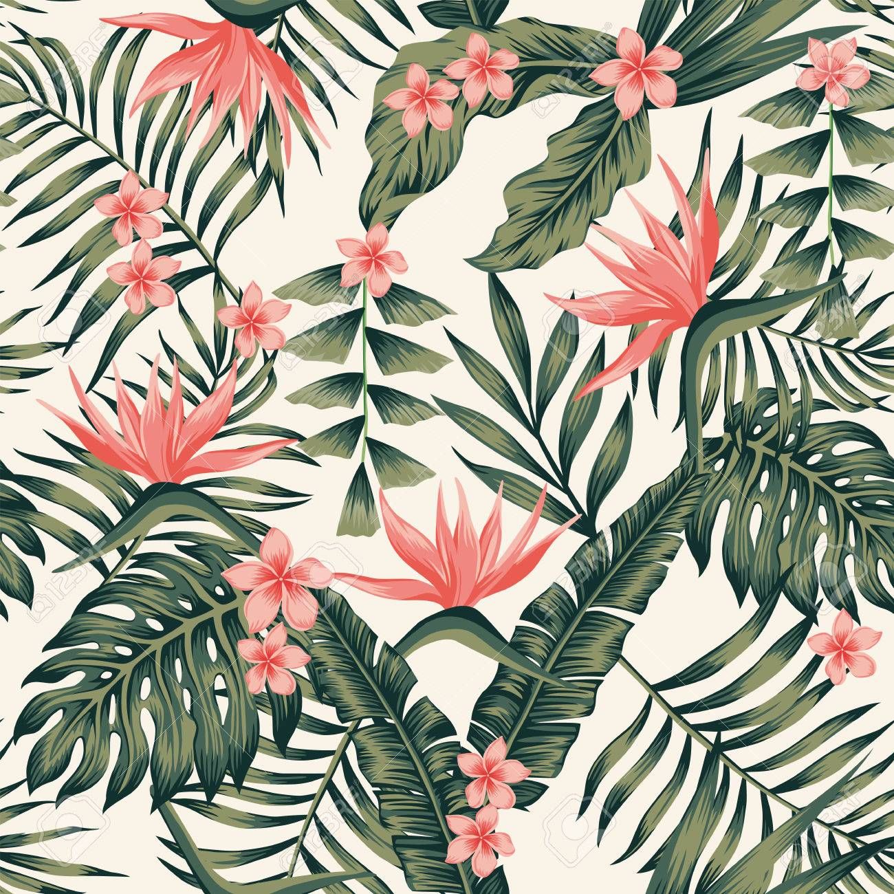 Tropical Wallpapers on WallpaperDog