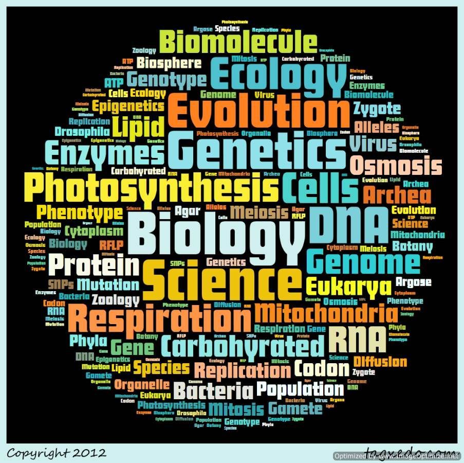 Biology Wallpapers on WallpaperDog