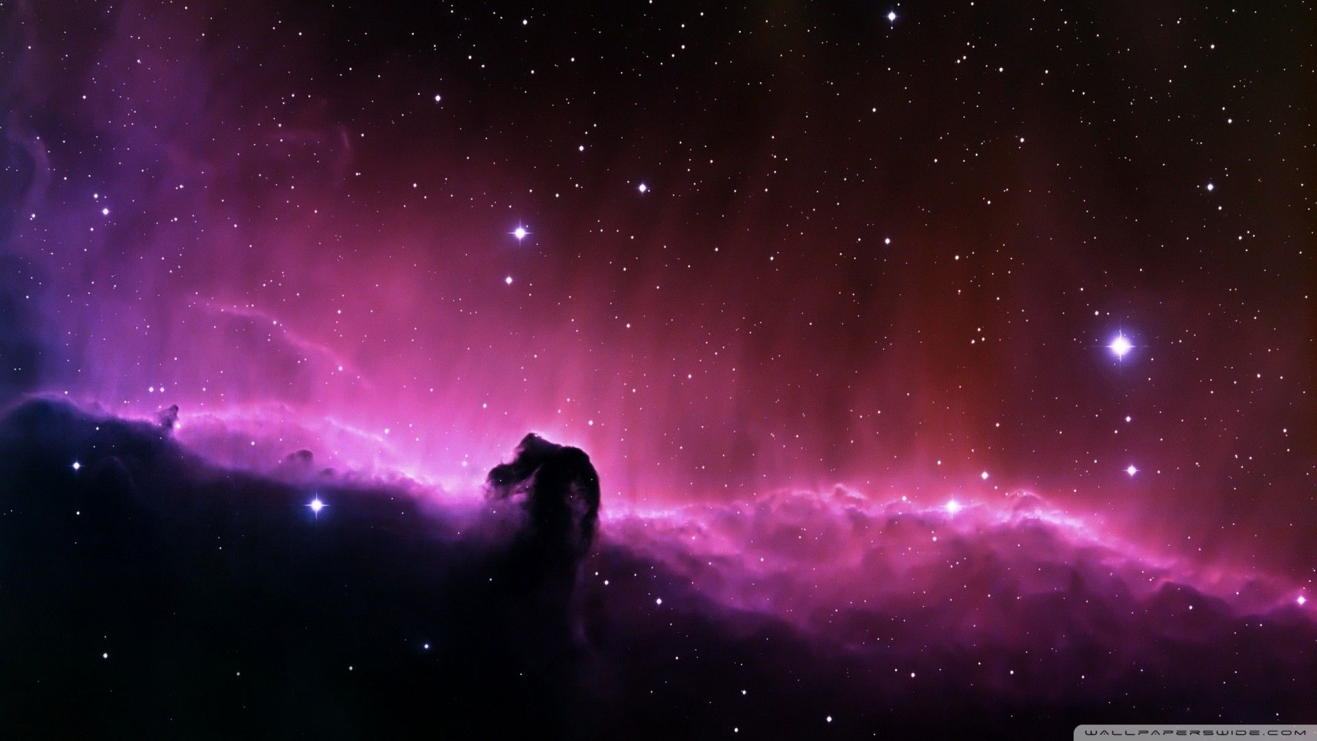 100 Nebula Pictures HQ  Download Free Images on Unsplash
