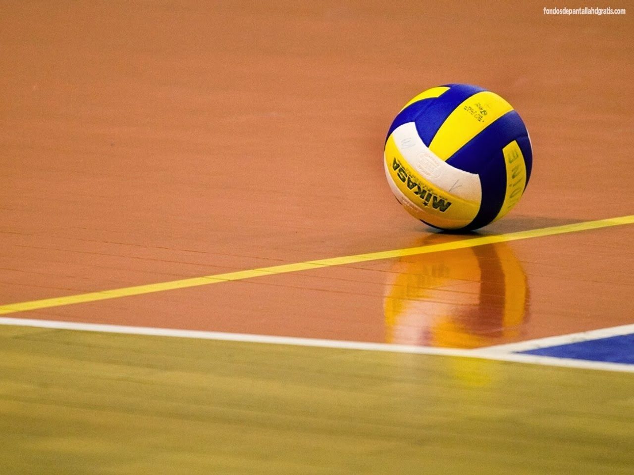 Volleyball Wallpaper Hd Viewing Gallery Xpx Volleyball Wallpapers Wallpaper  Free Download Iphone For Your Phone Background Border Android Graphics Ipad  Wallpaper | Загрузка изображений