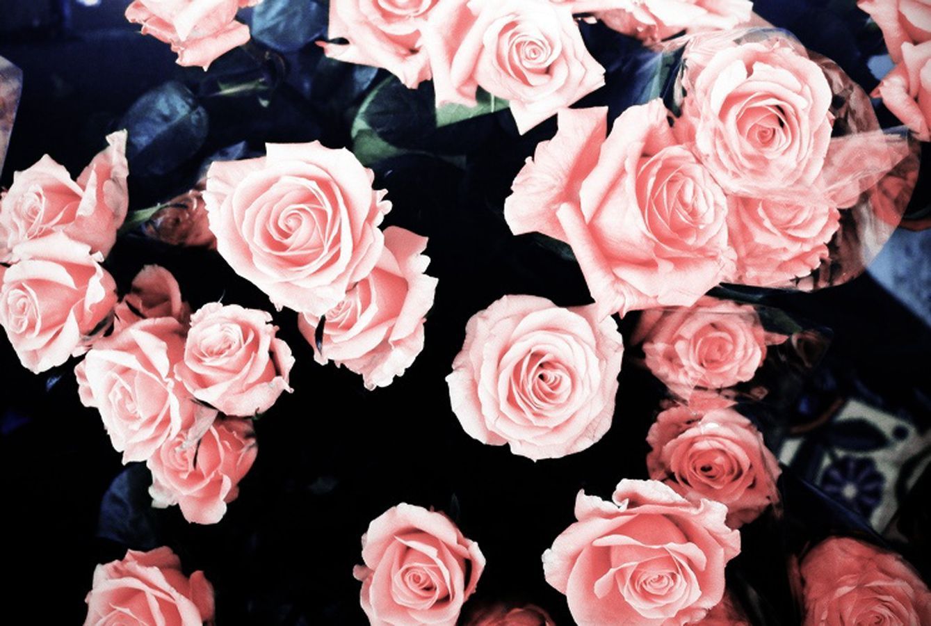 Featured image of post Aesthetic Roses Wallpaper Computer Wallpaper computer wallpaper iphone disney screen wallpaper wallpaper quotes wallpapers ipad cool kpop wallpapers kpop backgrounds aesthetic roses aesthetic collage red aesthetic kpop aesthetic aesthetic pastel wallpaper aesthetic wallpapers love rosie movie