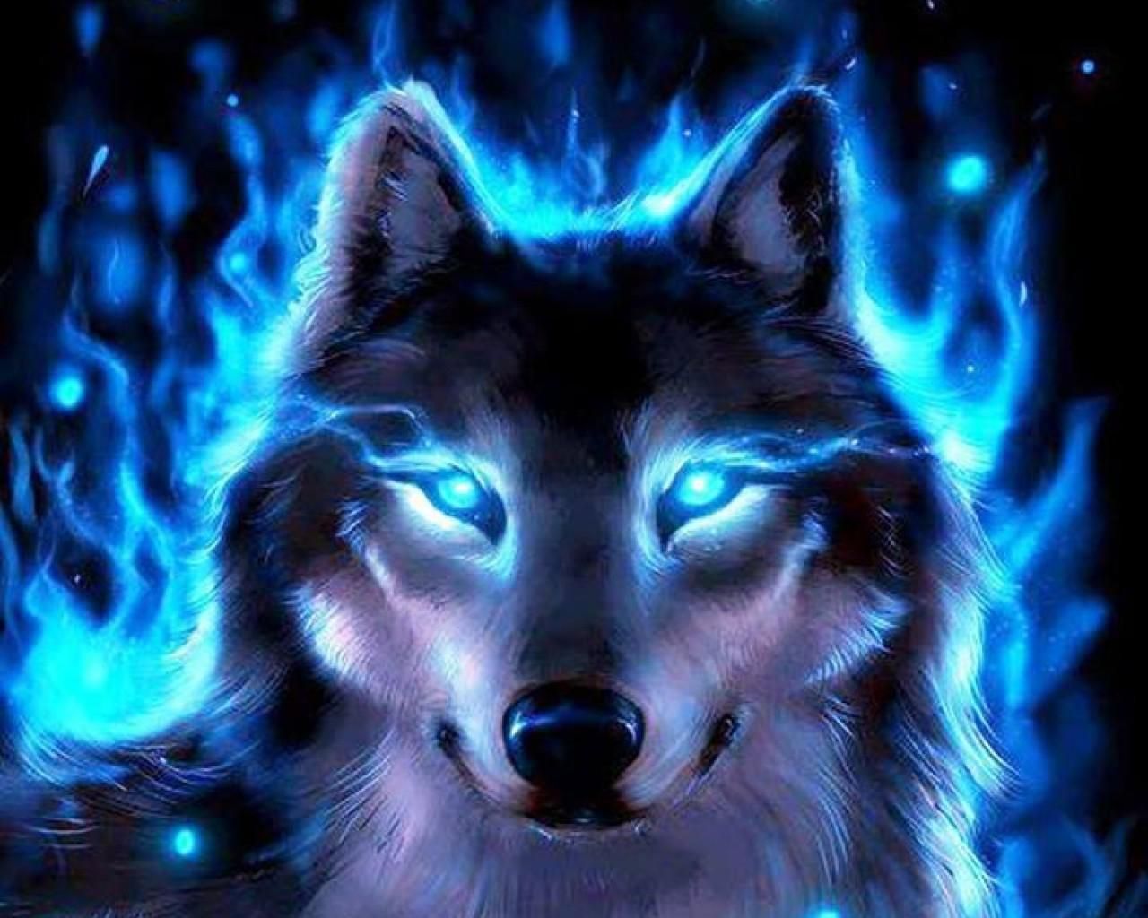 Cool Blue Wolf Wallpapers on WallpaperDog