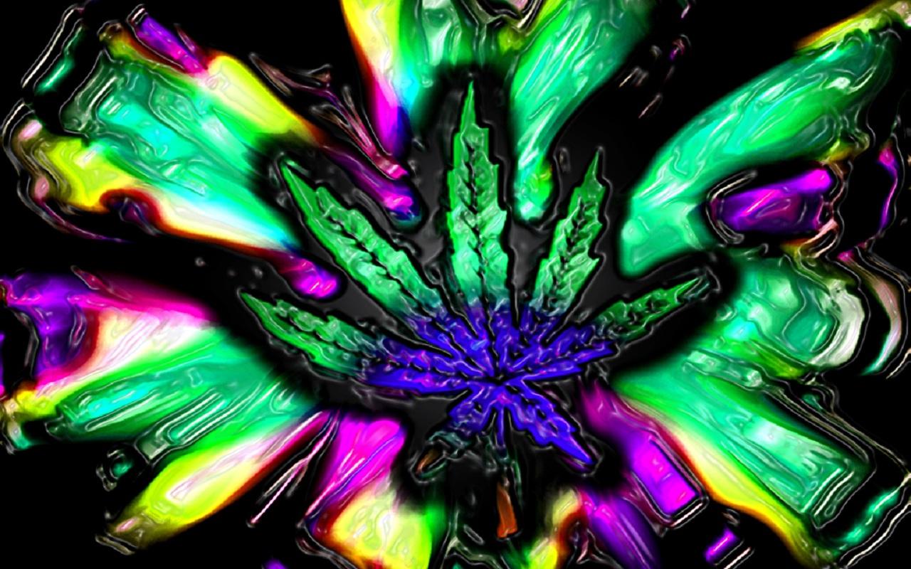HD wallpaper 420 cannabis drug drugs marijuana nature plant  psychedelic  Wallpaper Flare