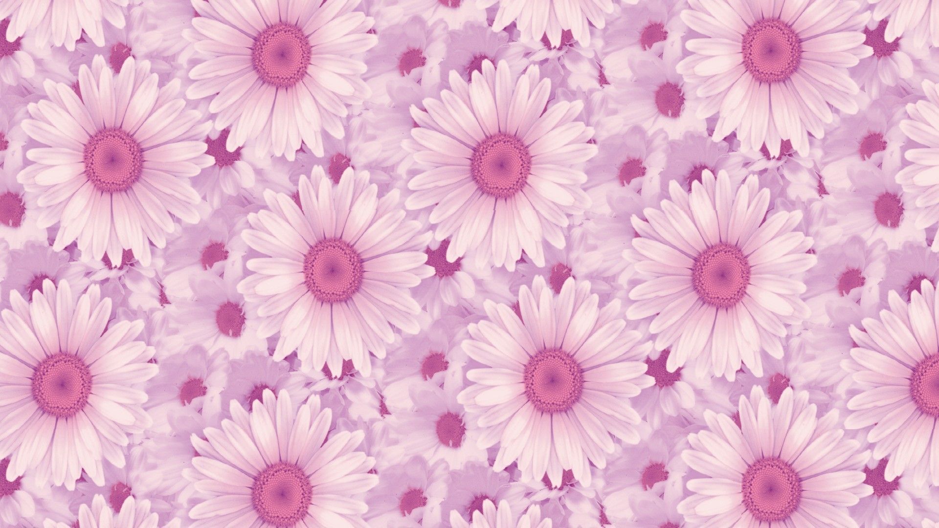 100+] Pink Aesthetic Tumblr Laptop Wallpapers