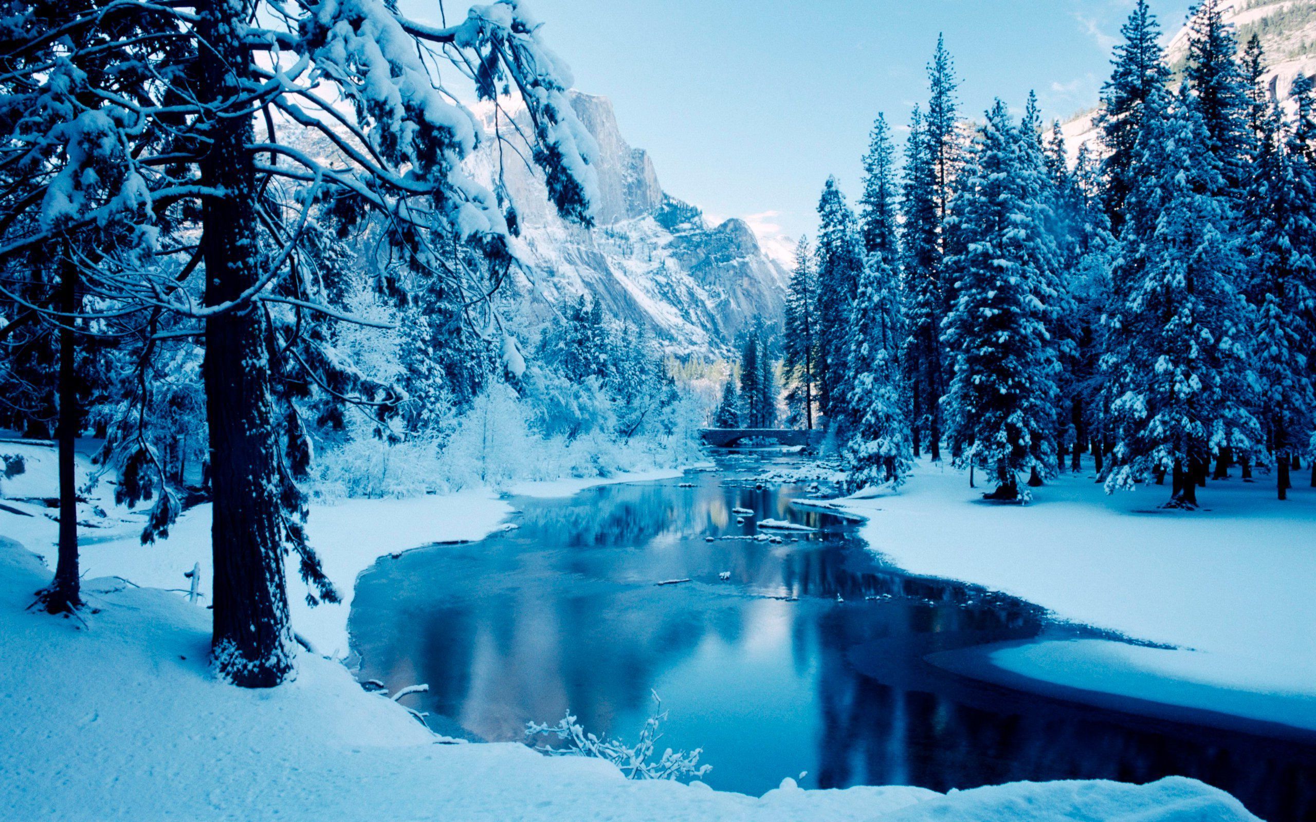 76+] Free Winter Background Wallpaper