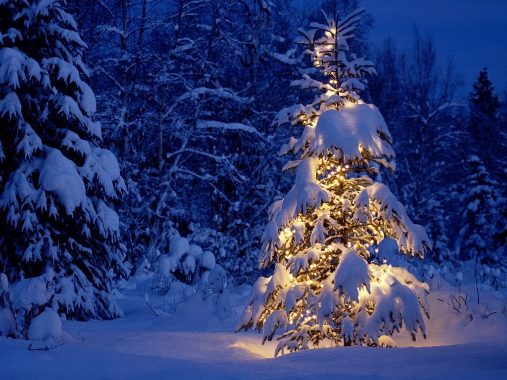 2900+ Winter HD Wallpapers and Backgrounds