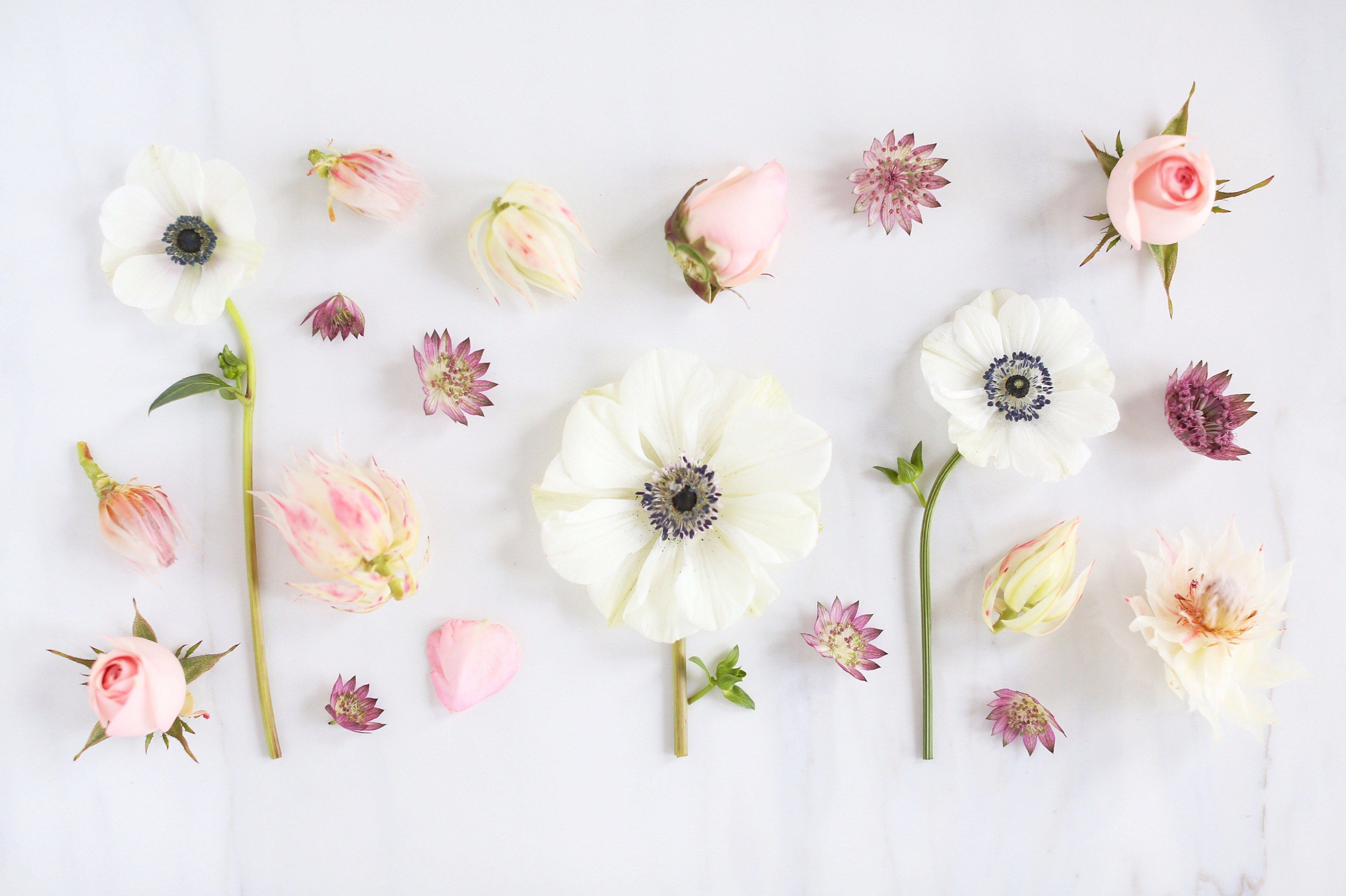 Aesthetic Flower Laptop Wallpapers - Top Những Hình Ảnh Đẹp