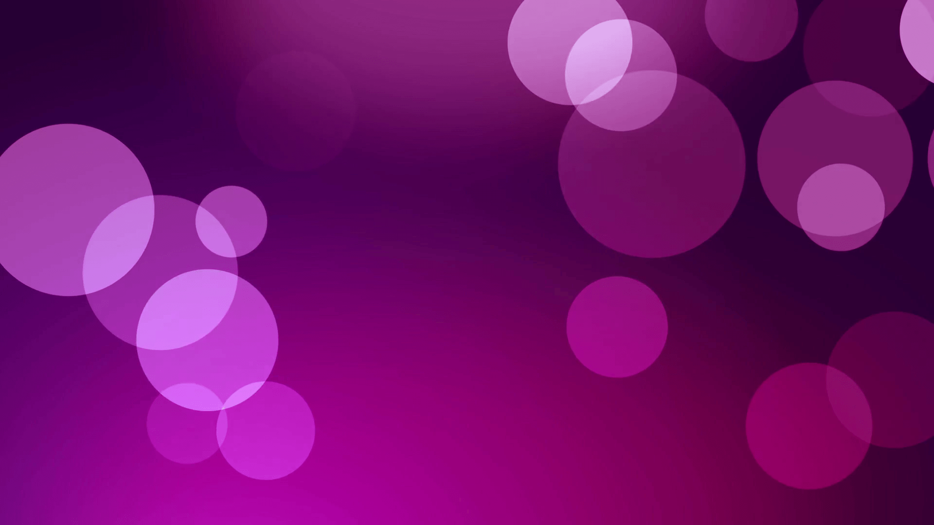 Pink purple