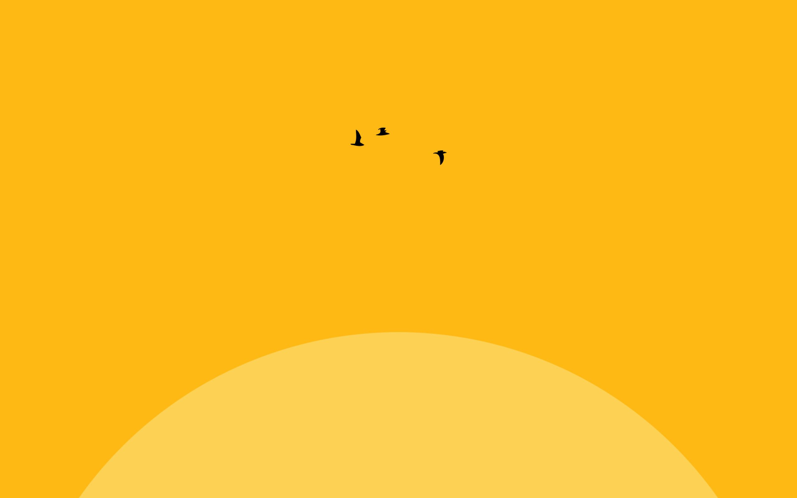 Yellow Flower In Sunlight Mac Wallpaper Download | AllMacWallpaper