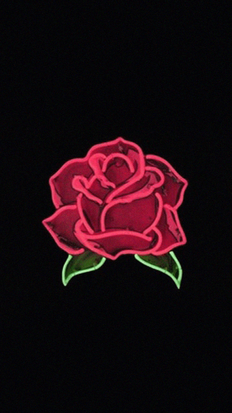 Red Rose Aesthetic Wallpapers On Wallpaperdog