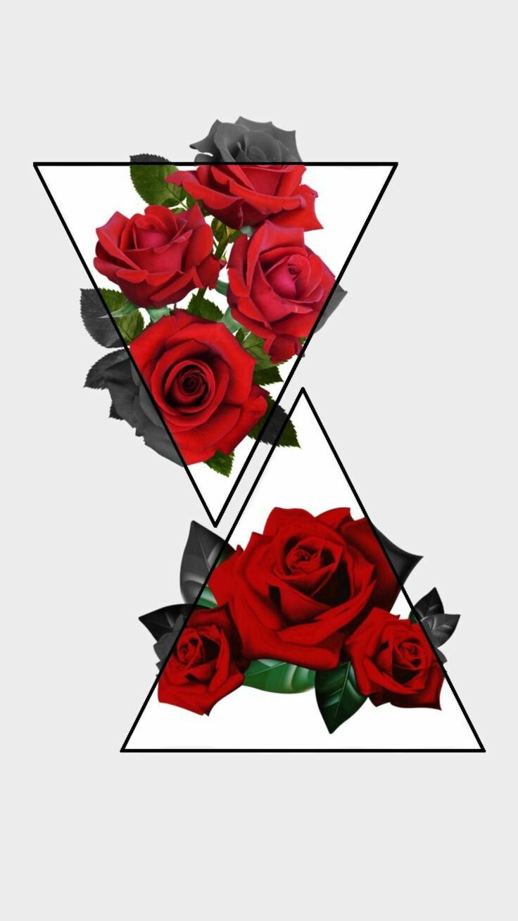 Dark red rose 4K wallpaper download