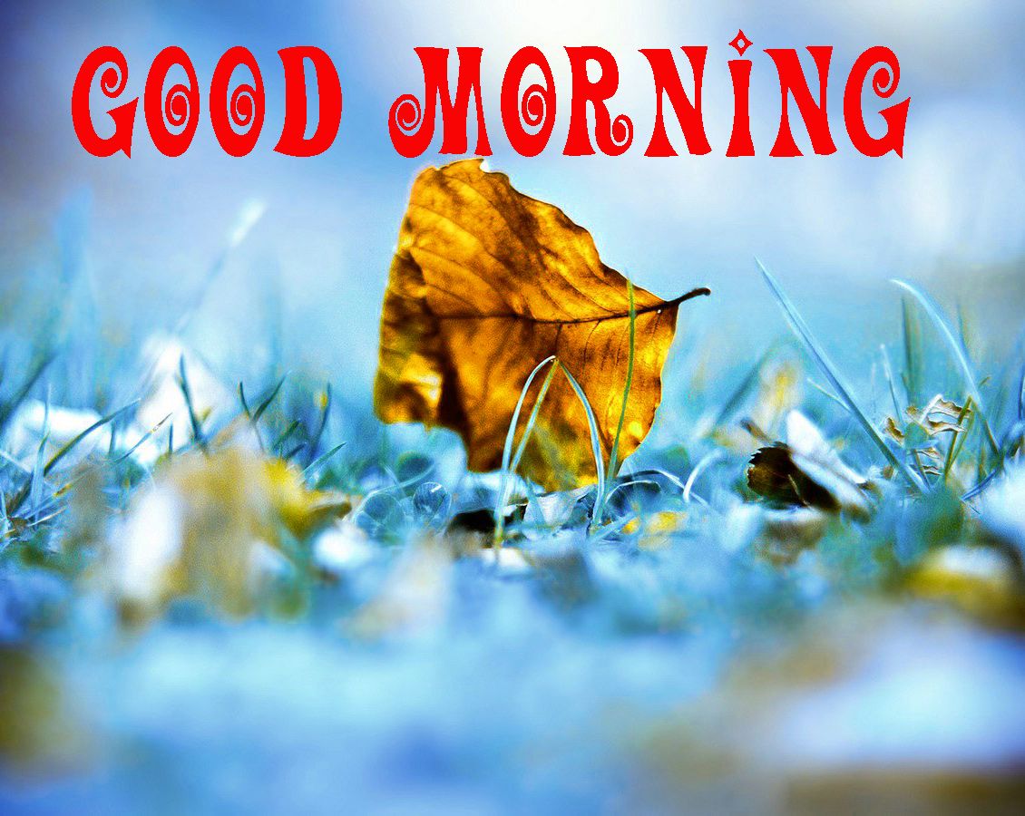 3d Wallpaper Download Good Morning Image Num 2