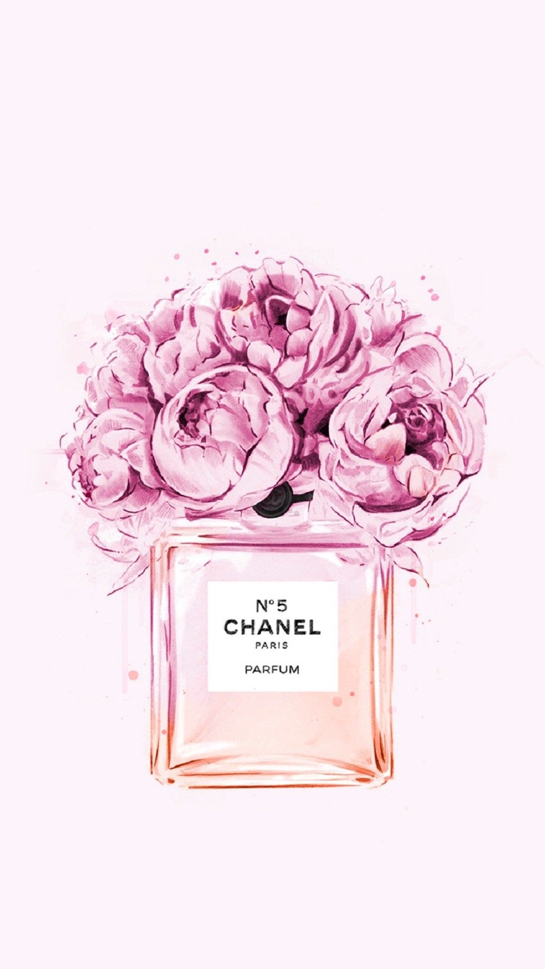 Chanel Roses Wallpapers On Wallpaperdog