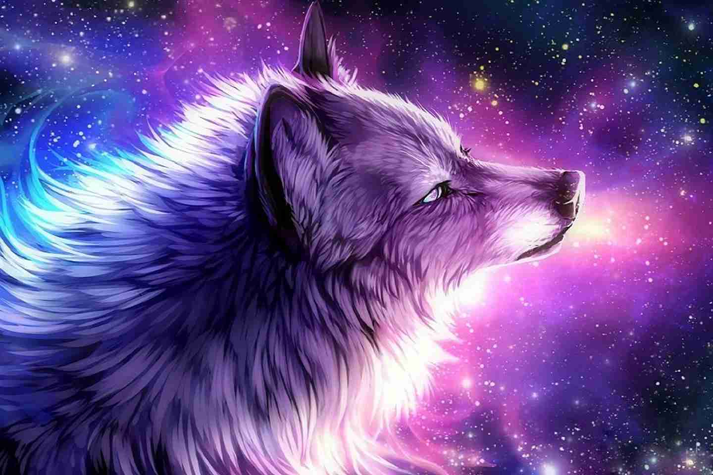 Wolves Galaxy Wallpapers On Wallpaperdog