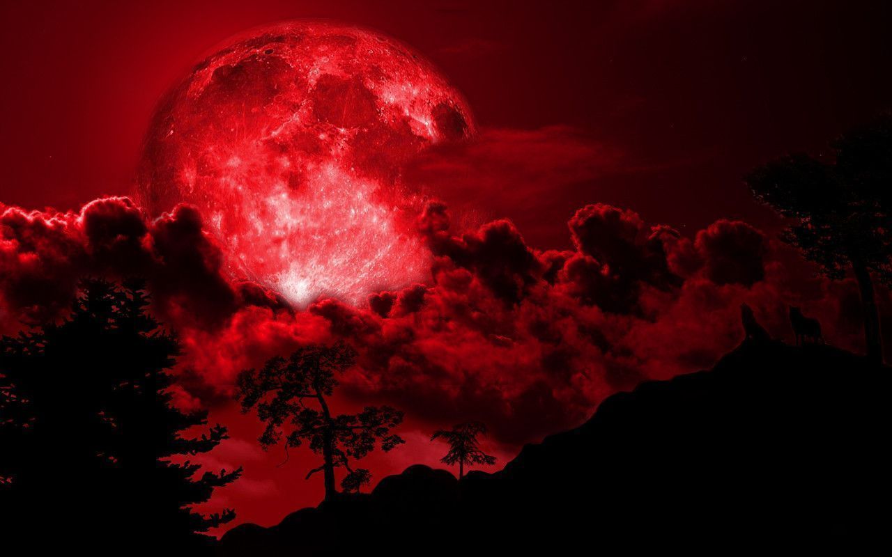 Red Full Moon Wallpapers on WallpaperDog