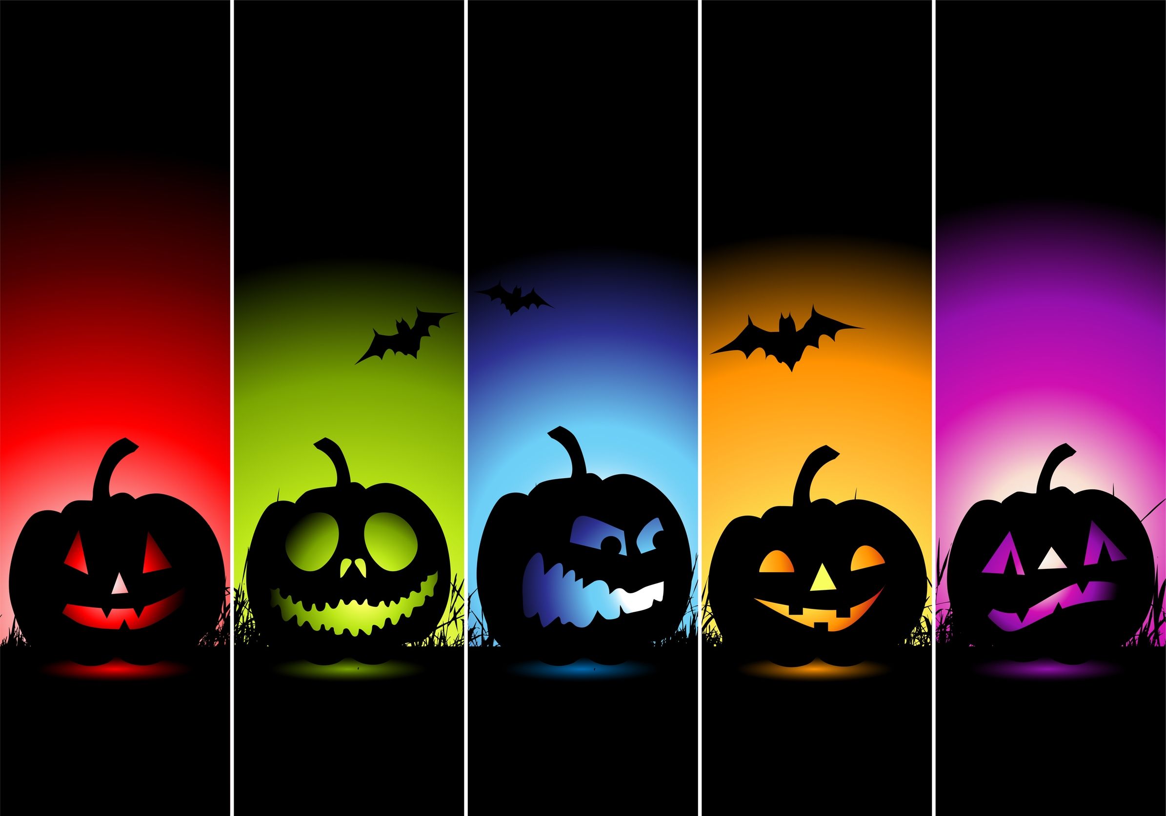 Jack o Lantern Halloween Pumpkin Wallpaper  iPhone Android  Desktop  Backgrounds