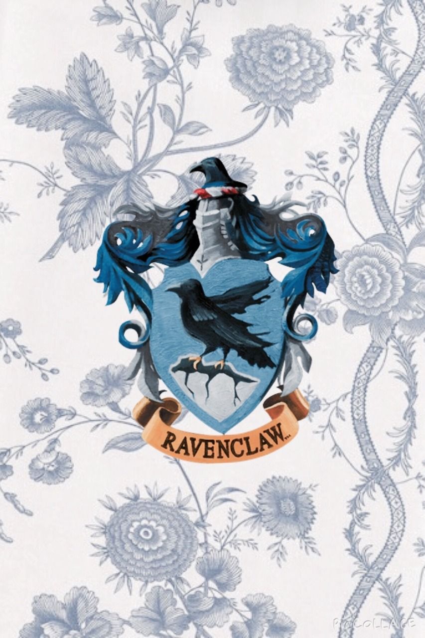 Ravenclaw bird harry potter hogwarts houses raven HD phone wallpaper   Peakpx
