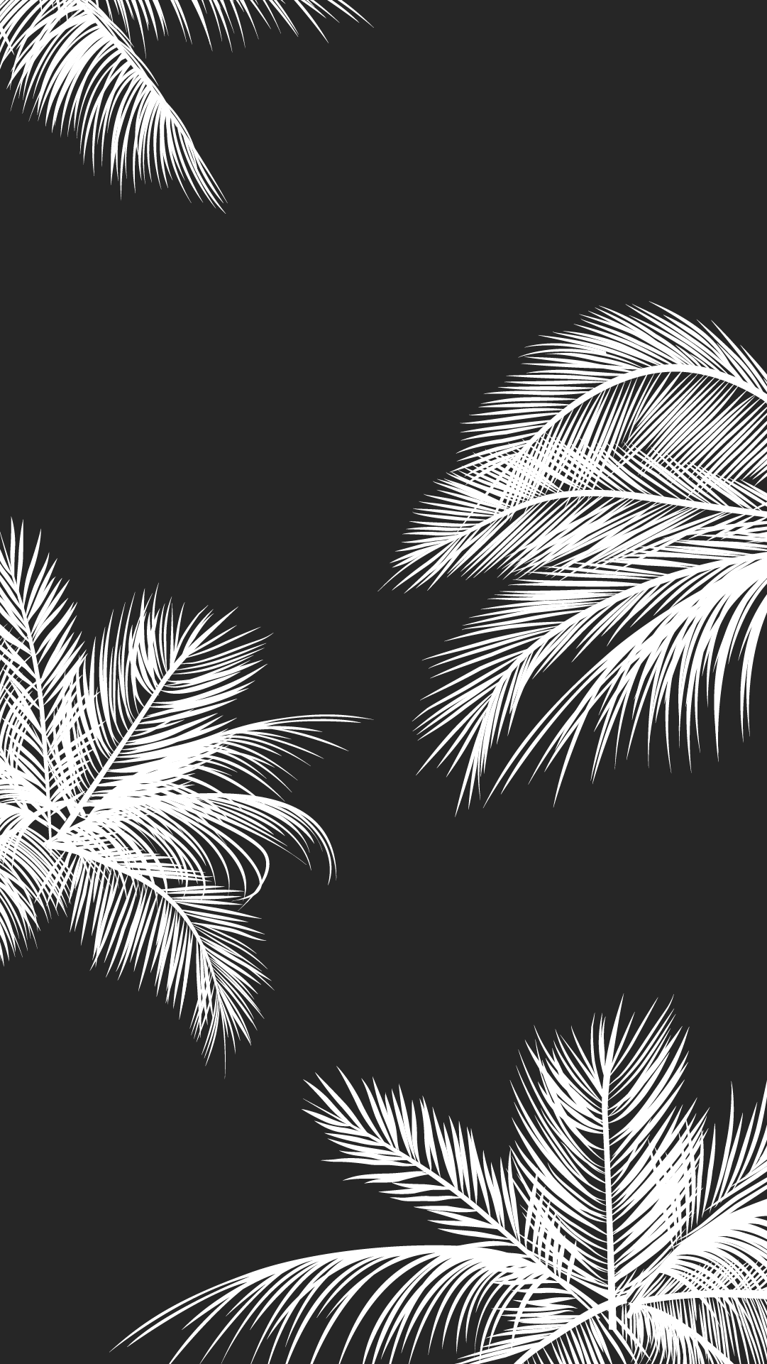Black and White Wallpapers on WallpaperDog