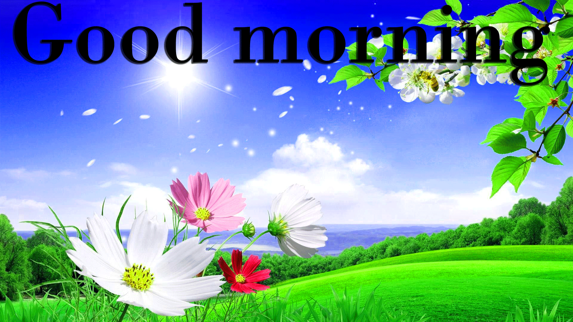 Featured image of post Full Hd Good Morning Wallpaper Download / Good morning wallpaper in full hd.