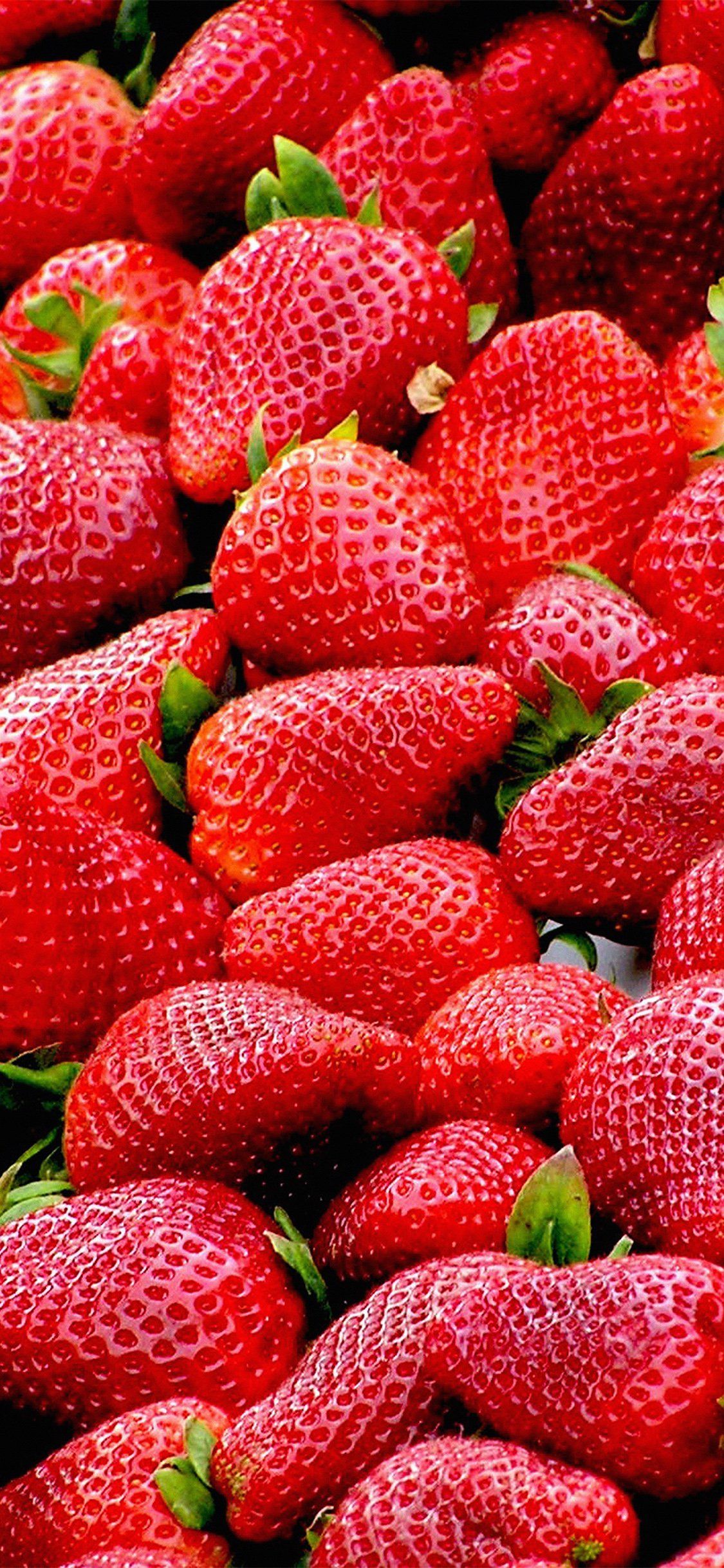 Download Fruit Wallpaper Background RoyaltyFree Stock Illustration Image   Pixabay