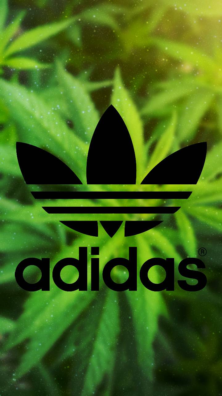 green adidas wallpaper