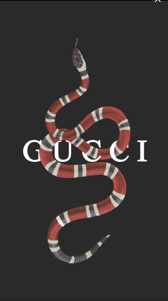 gucci logo snake