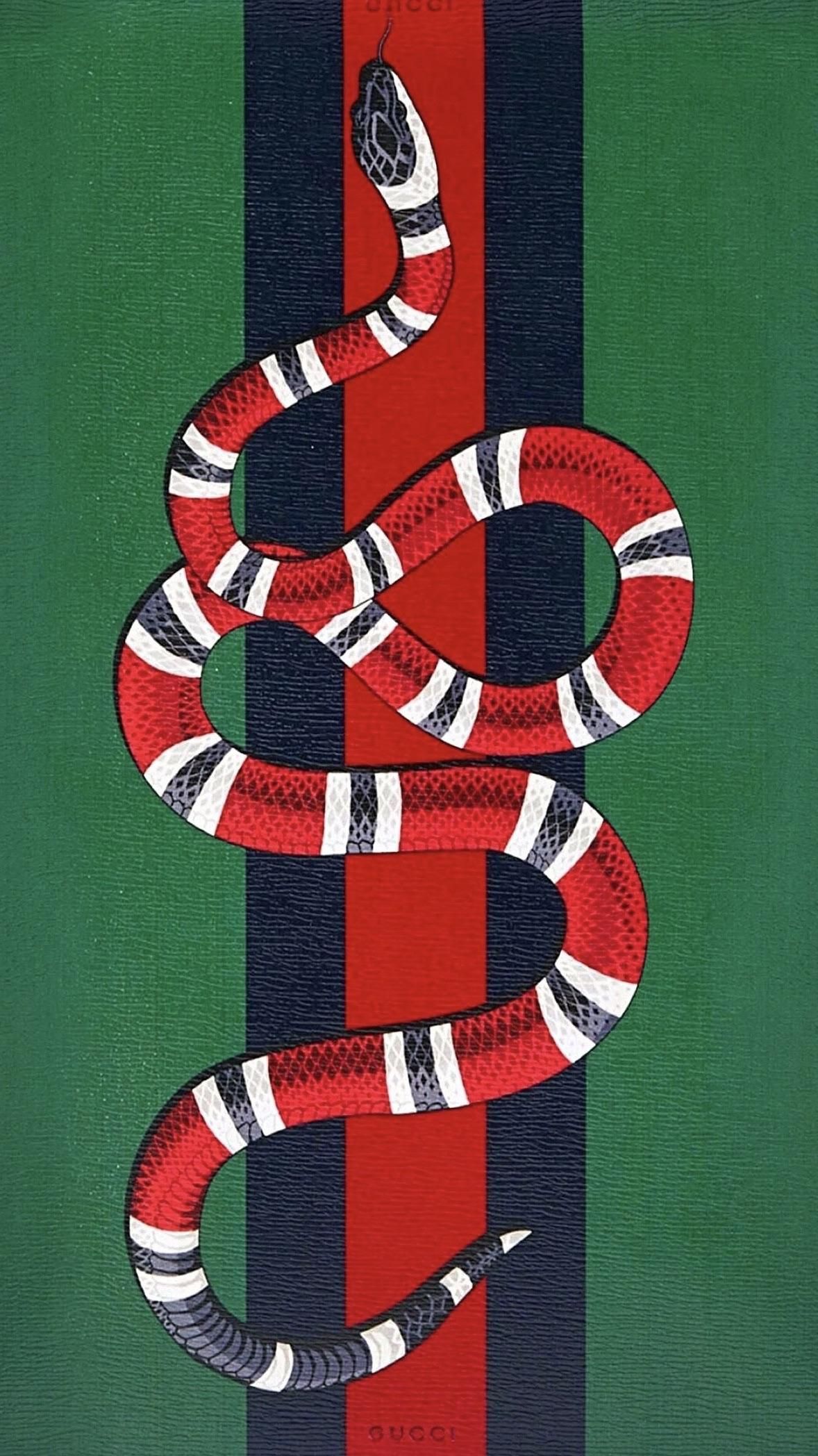 Snake on WallpaperDog