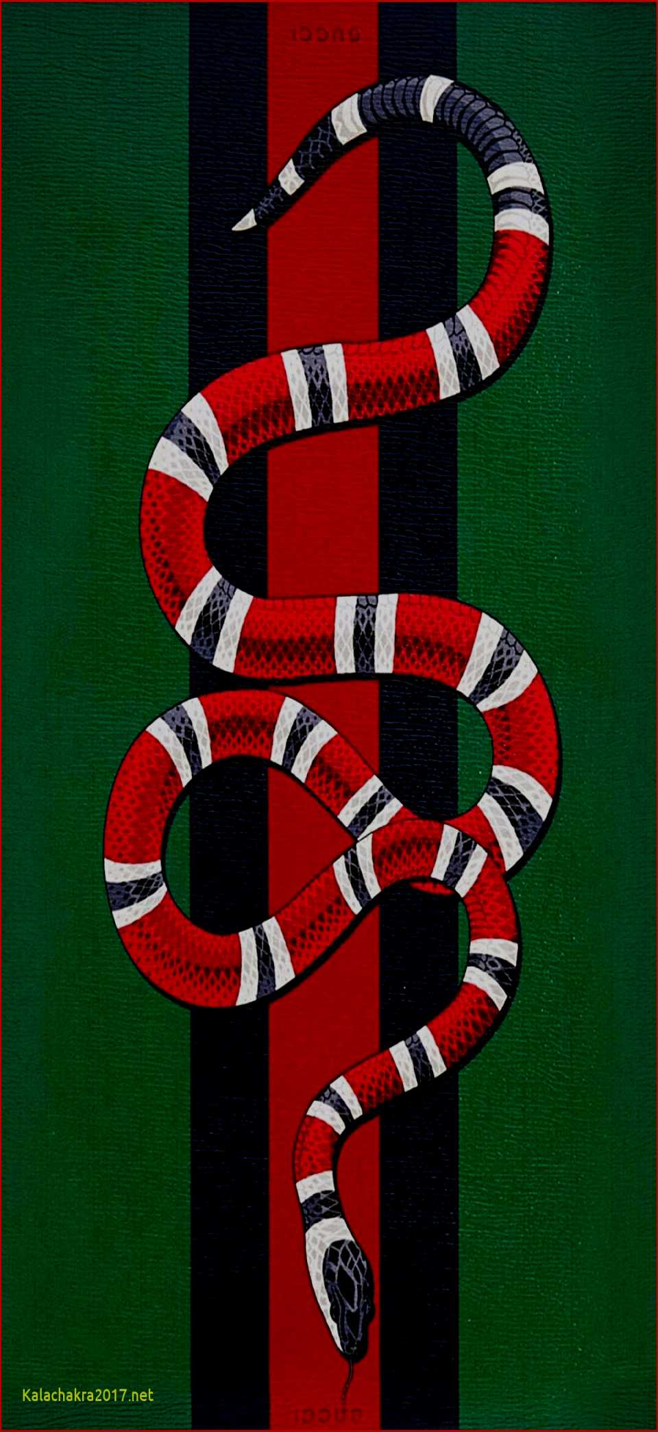 Alfabet maximaal koolstof Gucci Snake Wallpapers on WallpaperDog
