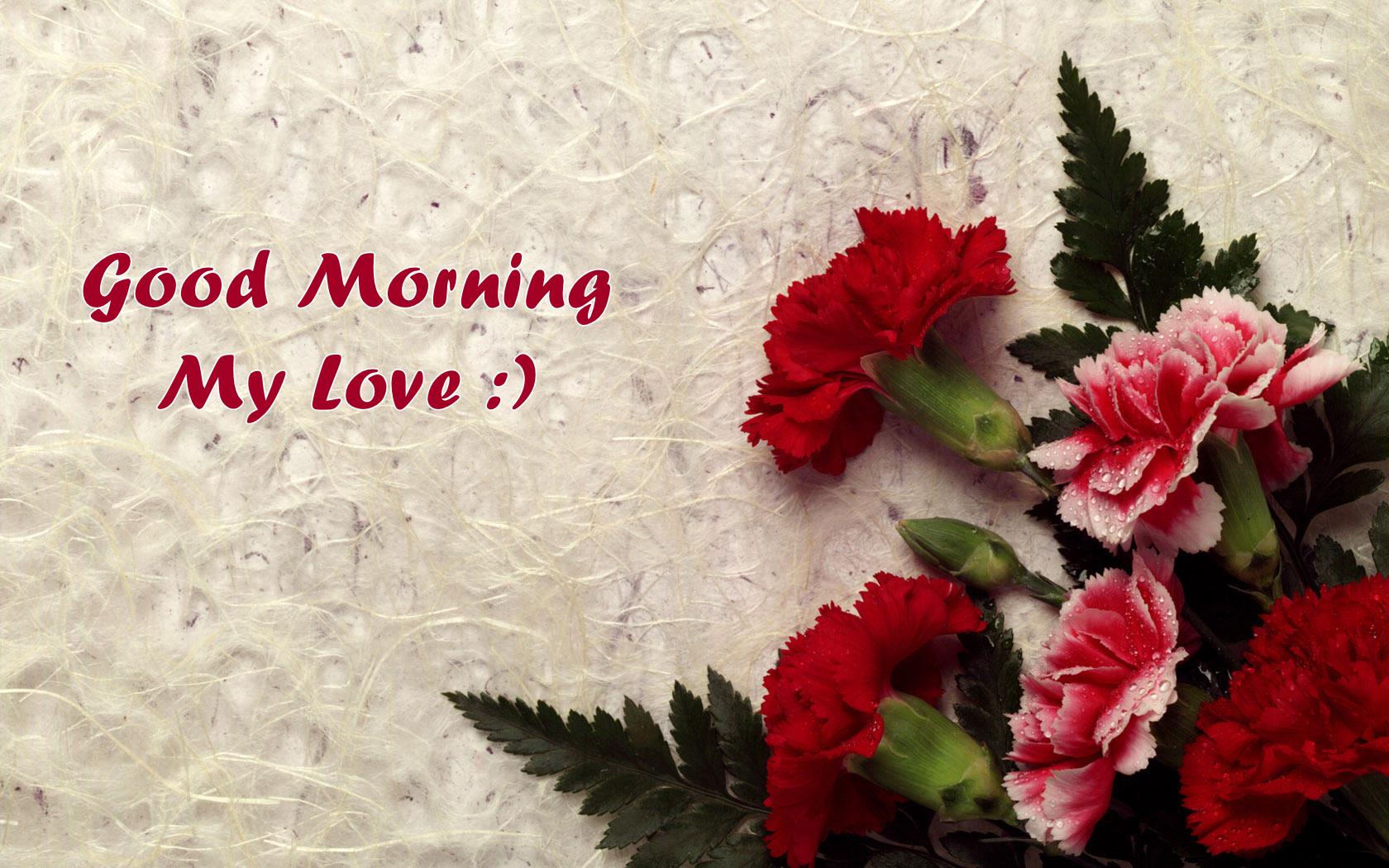 Romantic Good Morning Wallpapers on WallpaperDog