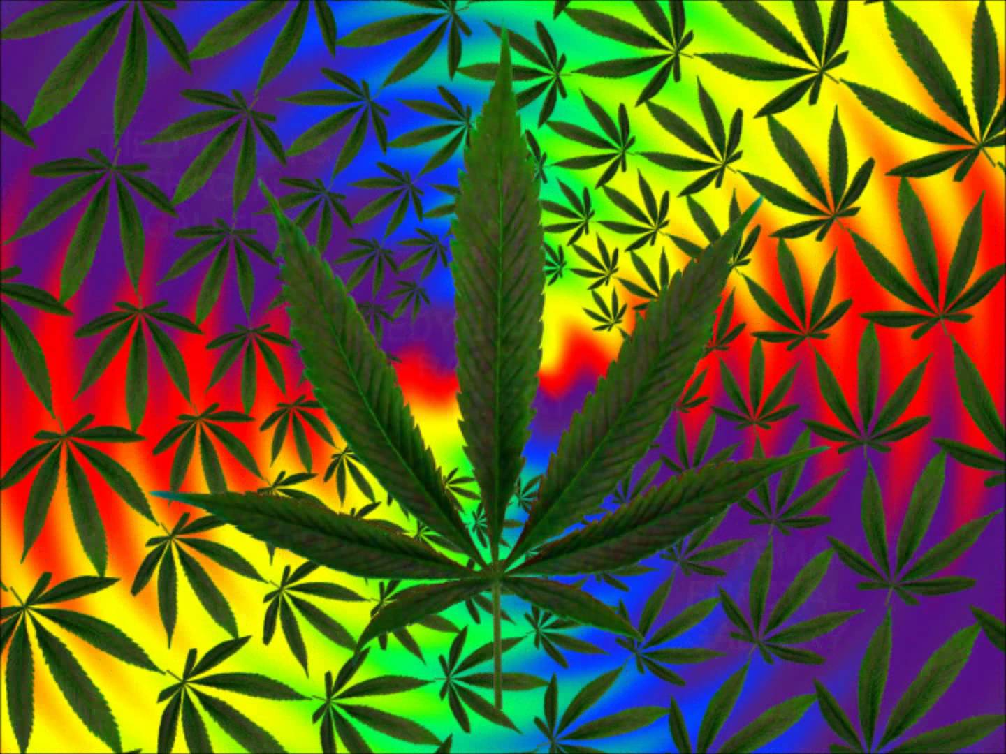 Featured image of post Cool Trippy Weed Pics Todays stoner post is going to be about cool weed facts stoner quotes and just dope 420 content