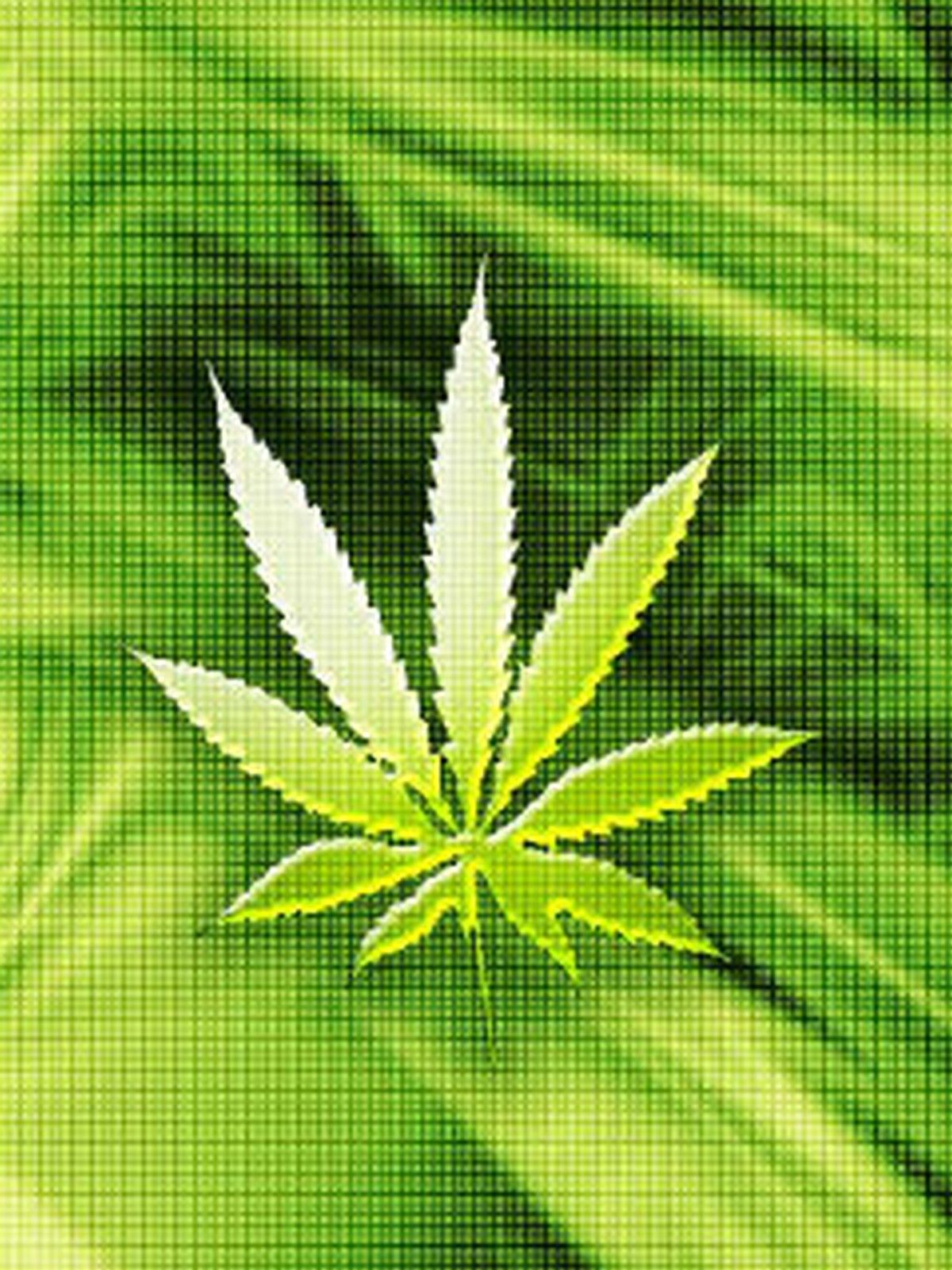 Best Marijuana Wallpapers on WallpaperDog