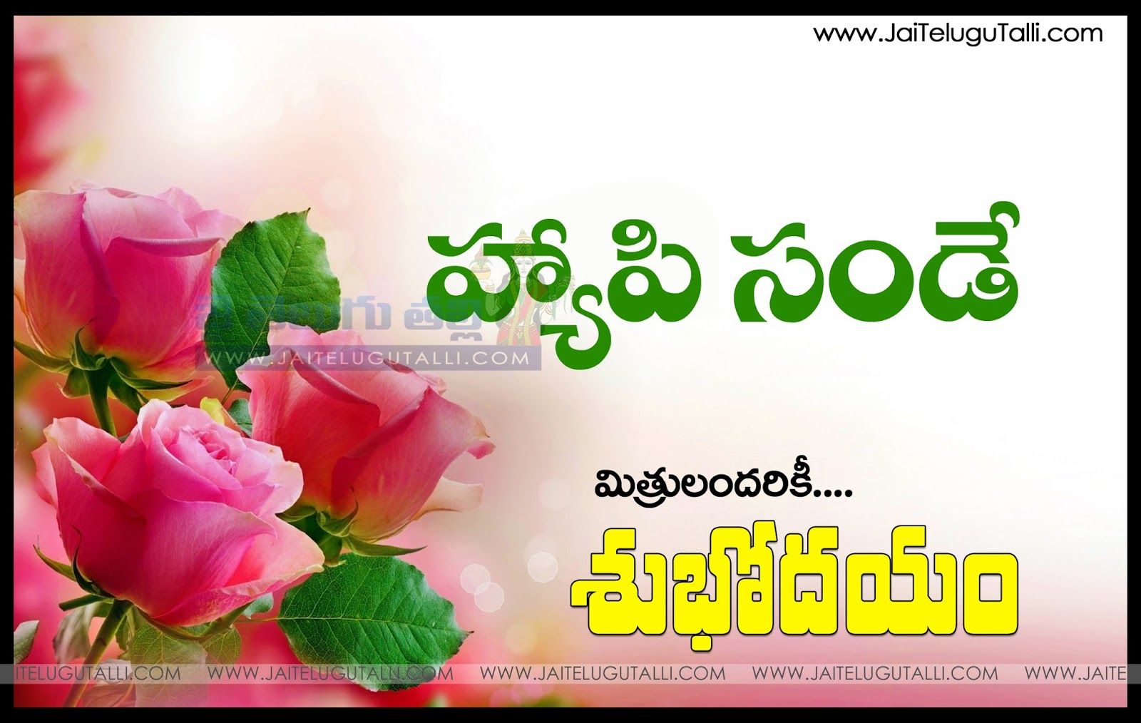 1600x1014 50+ Great Sunday Good Morning Quotes In Telugu - good quotes