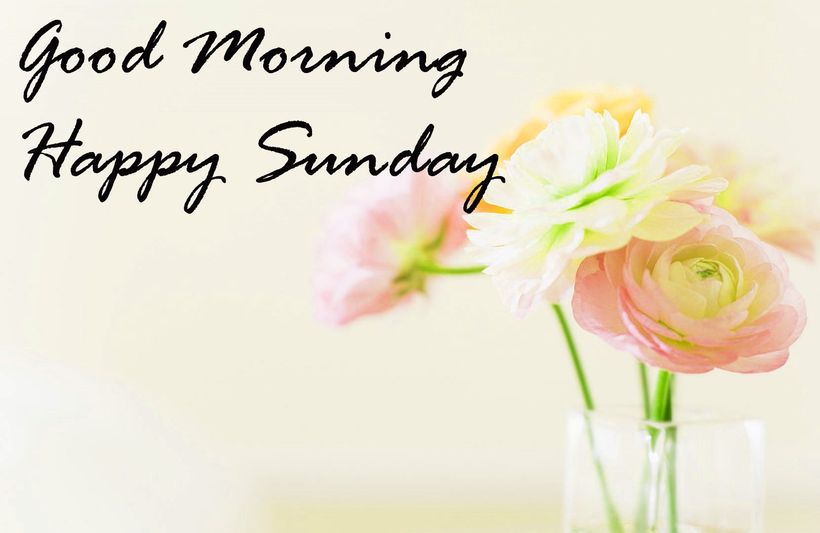 1661x1080 Sunday Good Morning Quotes Images Wishes Wallpaper Photo Pics
