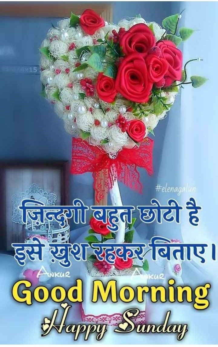 720x1145 61 Sunday Good Morning Images In Hindi ~ whatsappdplover