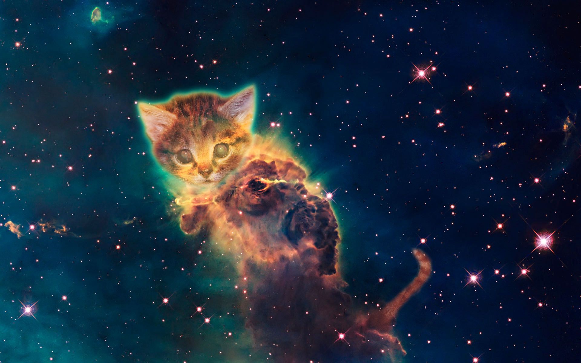 Hipster Galaxy Cat Wallpapers On WallpaperDog.