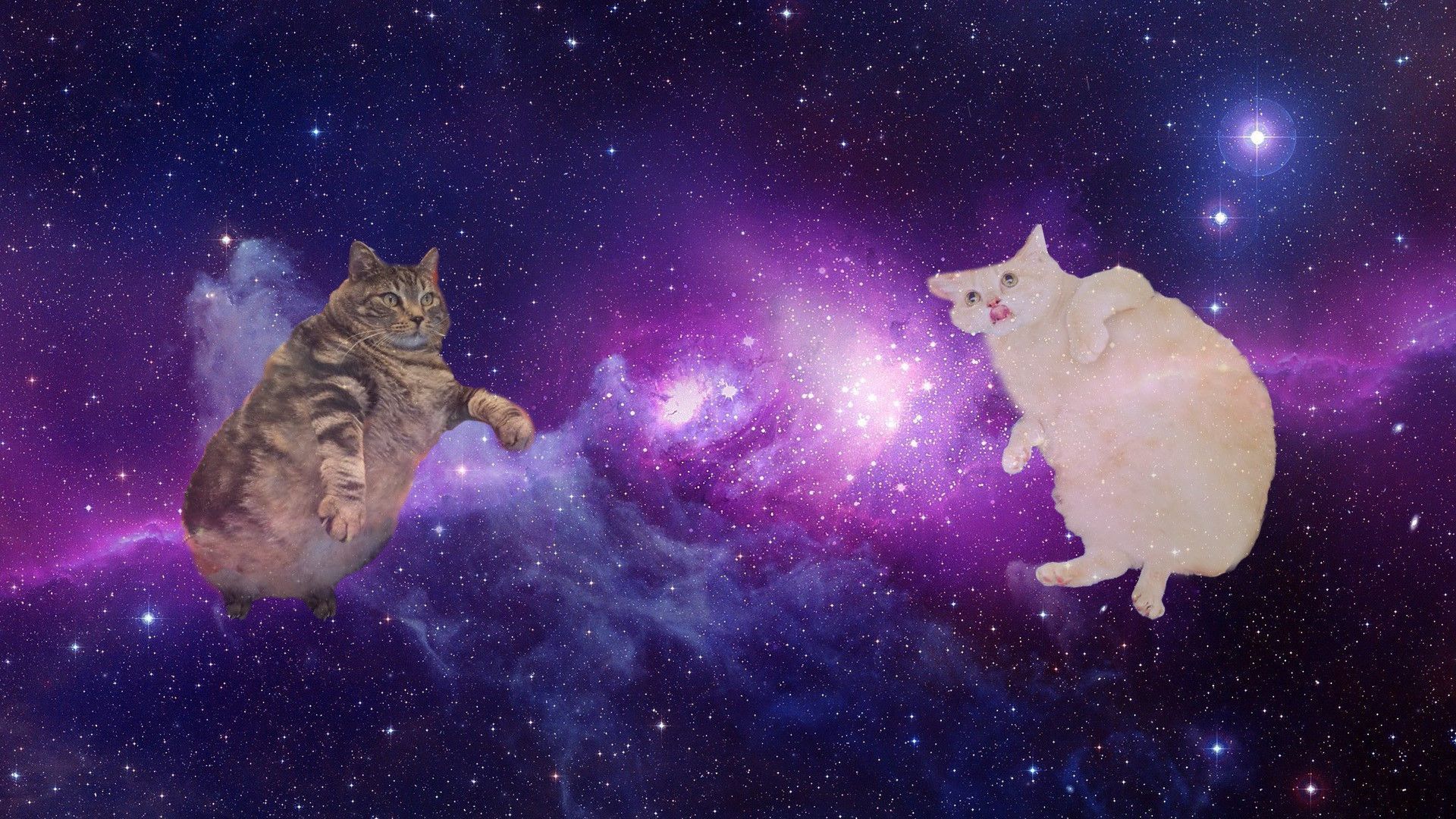 Galaxy Cat Desktop Wallpapers on