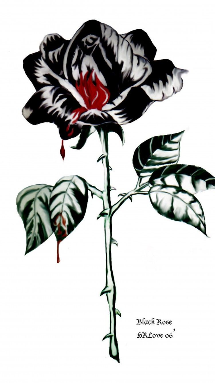 Black Rose Aesthetic Wallpapers on WallpaperDog