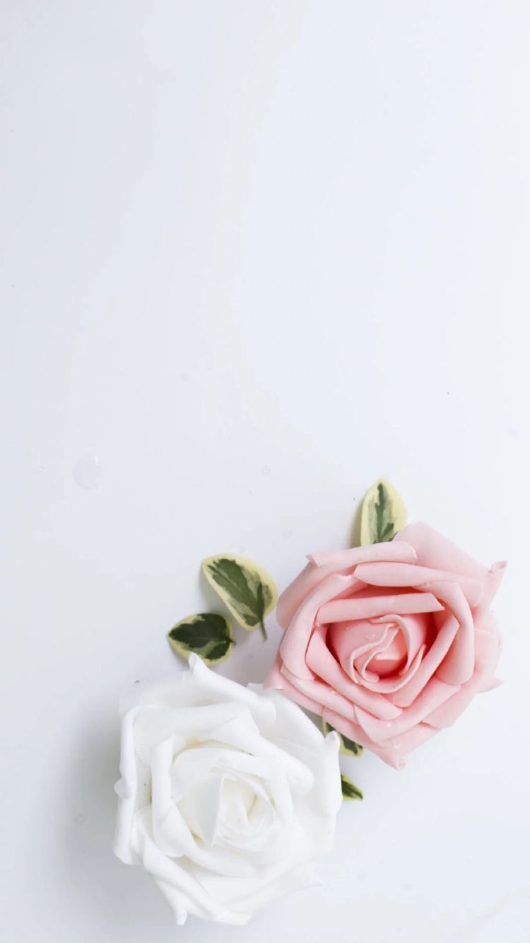 White Roses Wallpapers on WallpaperDog là một trong những tuyệt phẩm mà bạn không nên bỏ qua. Với những bông hoa hồng trắng được sắp xếp đẹp mắt trên màn hình điện thoại của bạn, tạo nên một không gian thanh lịch và tinh tế.