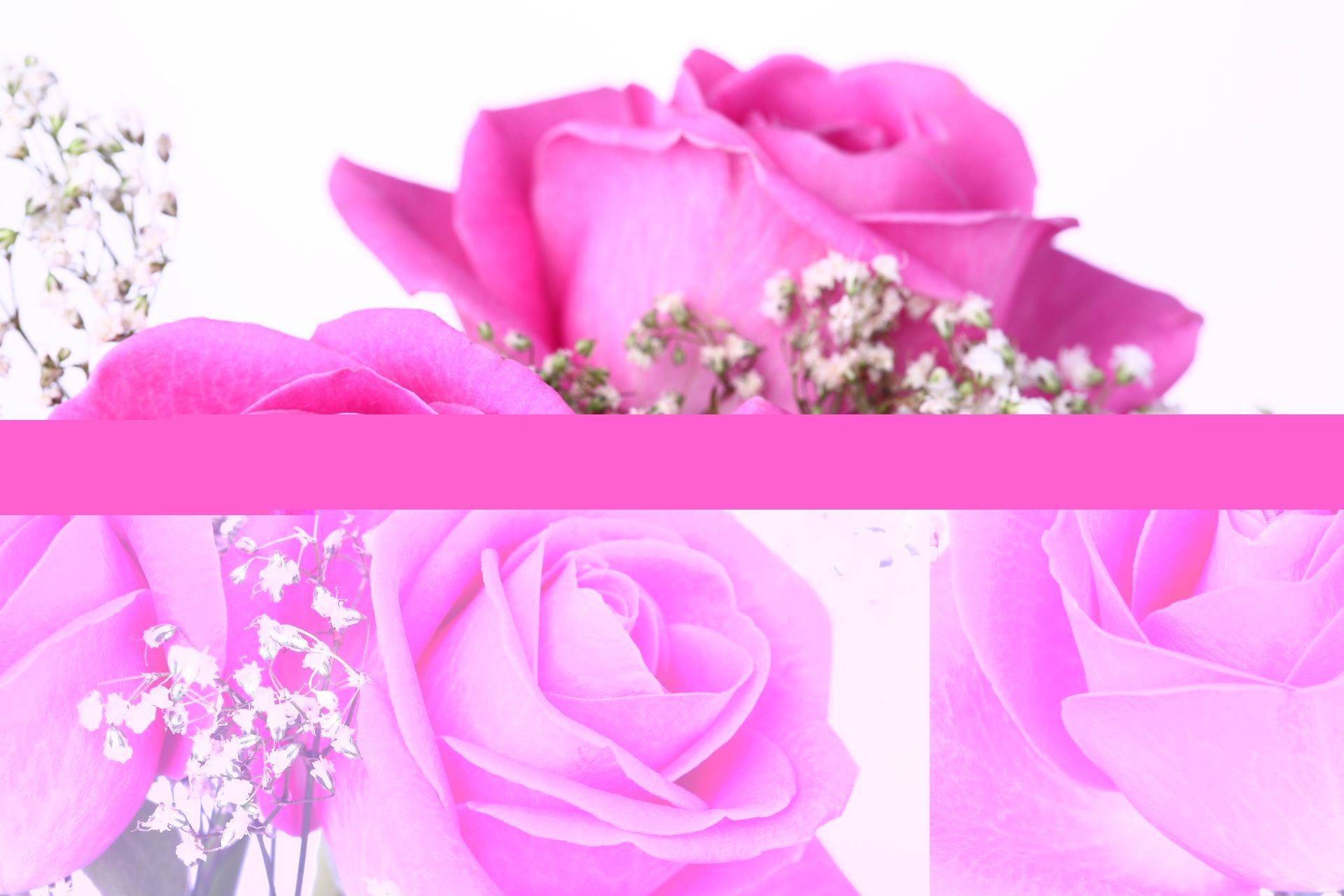 Pink Roses Live Wallpaper  Apps on Google Play