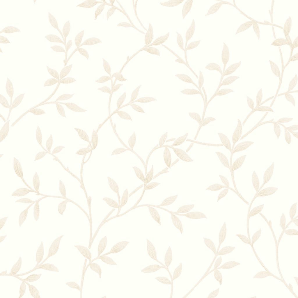 Ivory flower Wallpaper  Beige background Background Flower texture