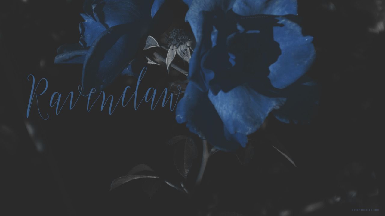Ravenclaw Aesthetic Wallpapers.