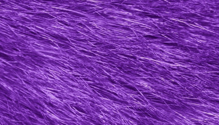 Purple Fur Wallpaper