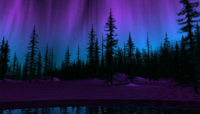 Purple Northern Lights Wallpaper